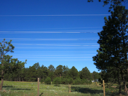 Cristo like array of high voltage wires, east of black Forest, Colorado.